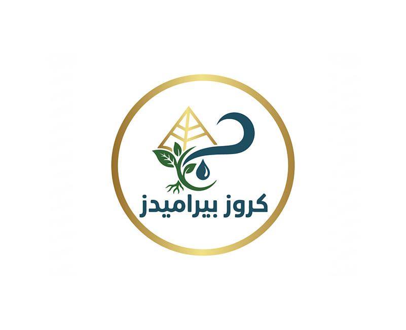 كروز بيراميدز — تصميم لوجو
